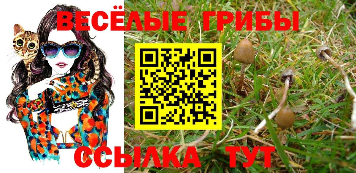 Псилоцибиновые грибы Psilocybine cubensis  Псилоцибиновые грибы Psilocybe  Нерюнгри  Вход с VPN 